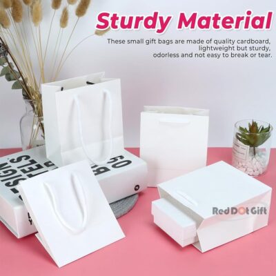  White Plain Paper Bags for shopping Birthday Party Favor Bags Bridal showers, Mother's Day, baby showers, and wedding presents.